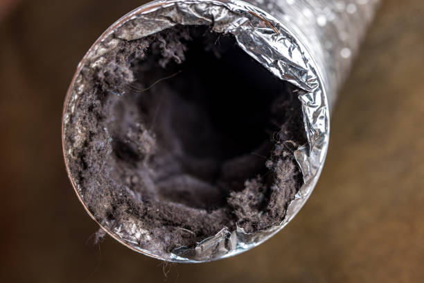 Best HVAC Air Duct Cleaning  in Ivins, UT